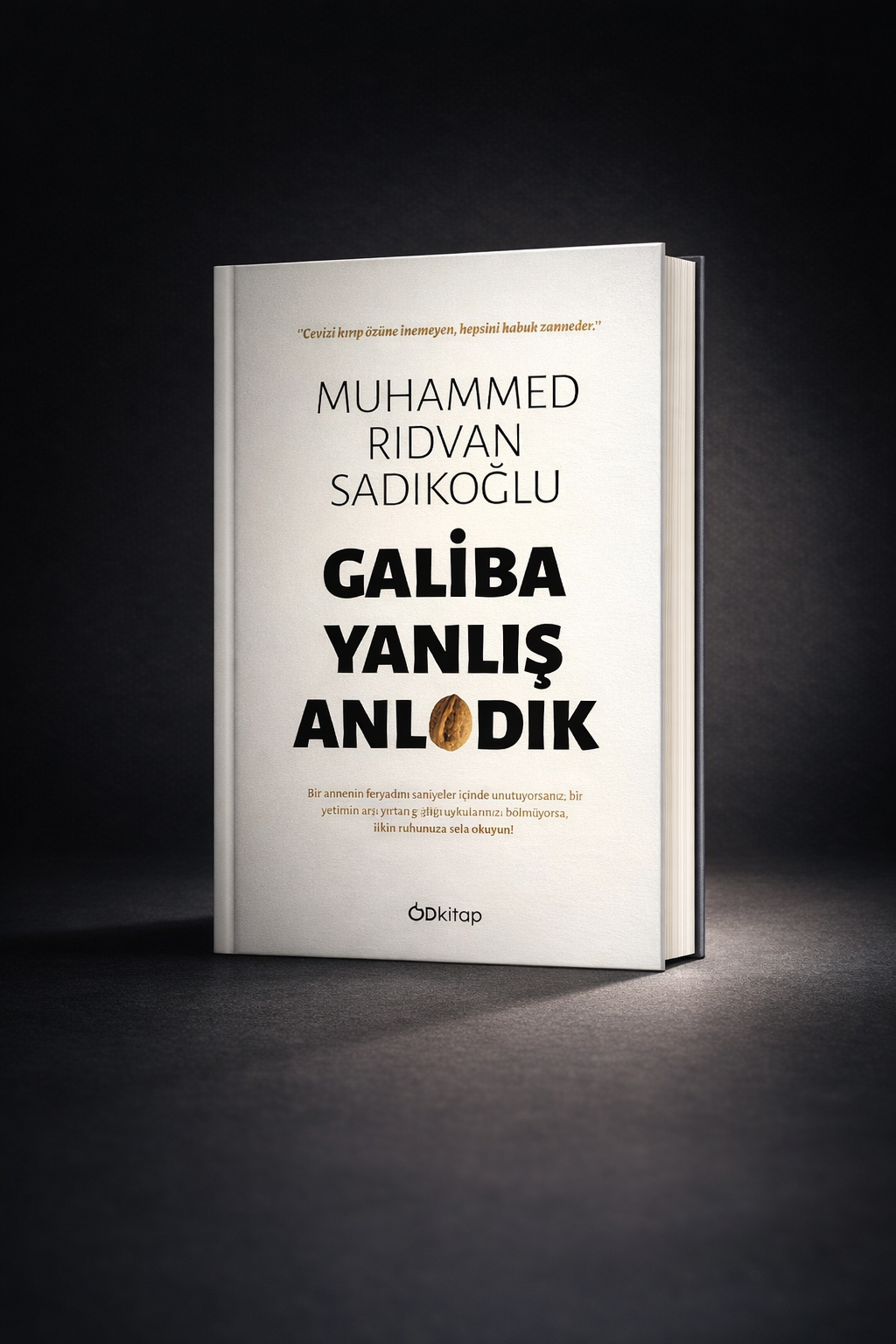 Galiba yanlış anladık 1.cilt